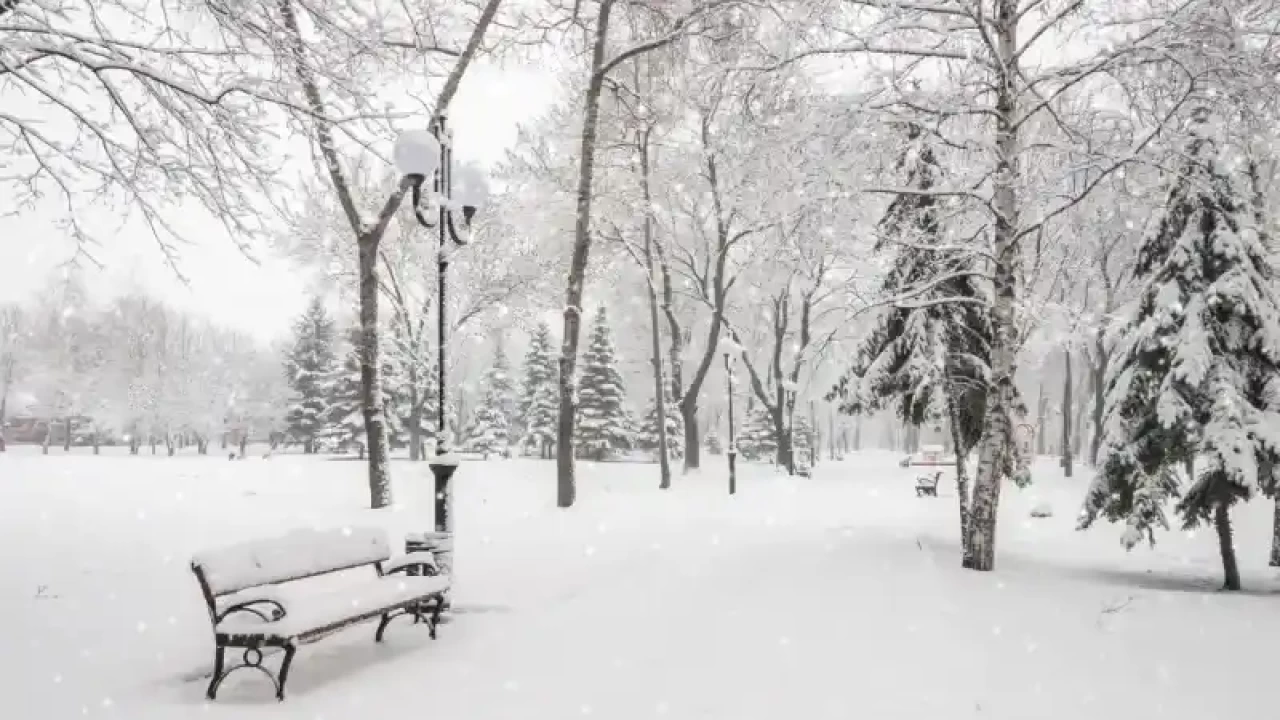 Düzce Hava Durumu